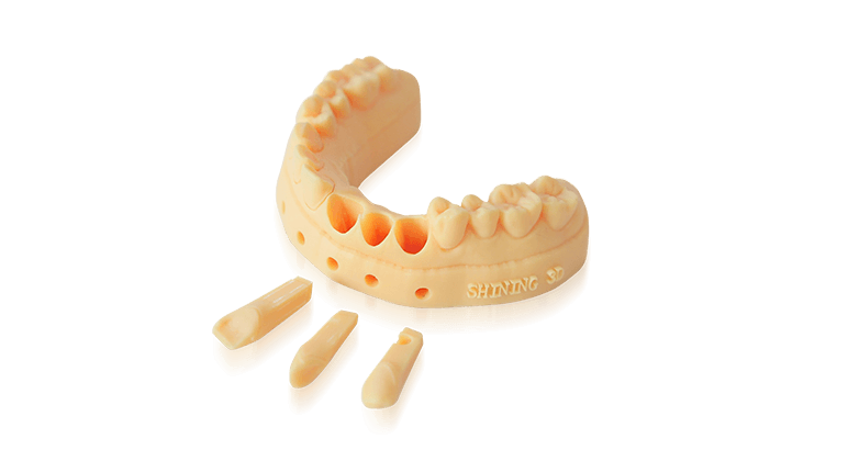Dental-Model