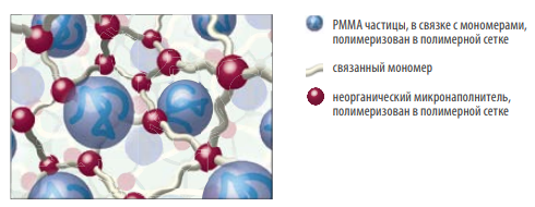 Структурв искусственных зубов VITA PHYSIODENS